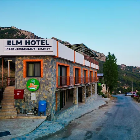 Elm Bed & Breakfast