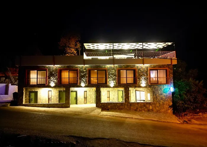 Elm Fethiye